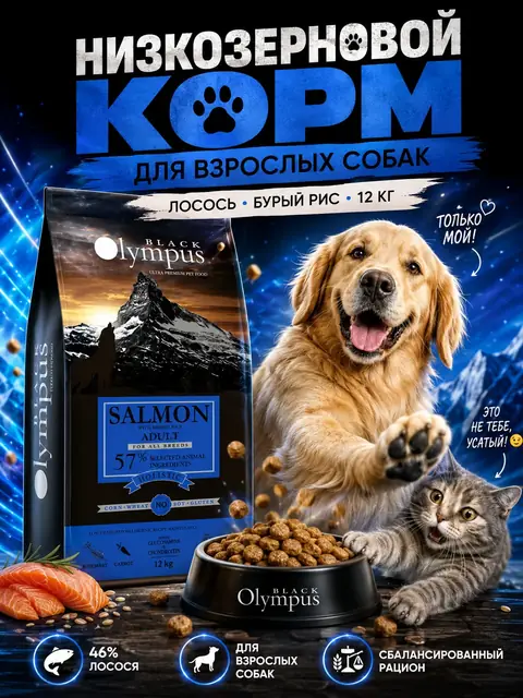 Инфографика корма с лососем для взрослых собак Black Olympus